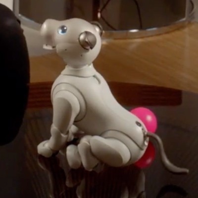 Ai Bo