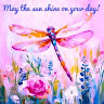 Rae Ann Wright