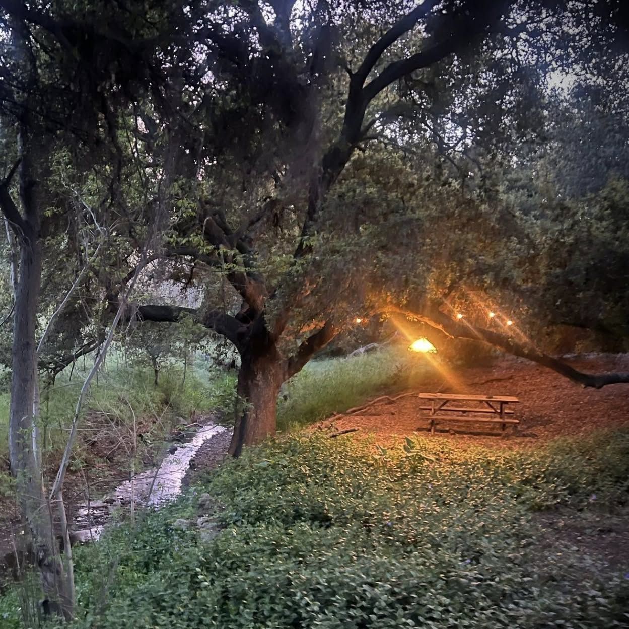 Wild Seeds Ranch
