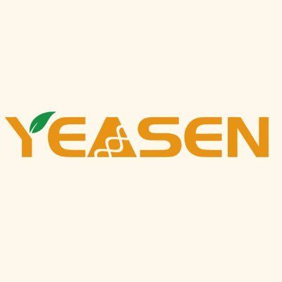 Yeasen Biotechnology