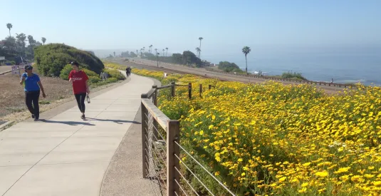 North County Tech Sunset Walk