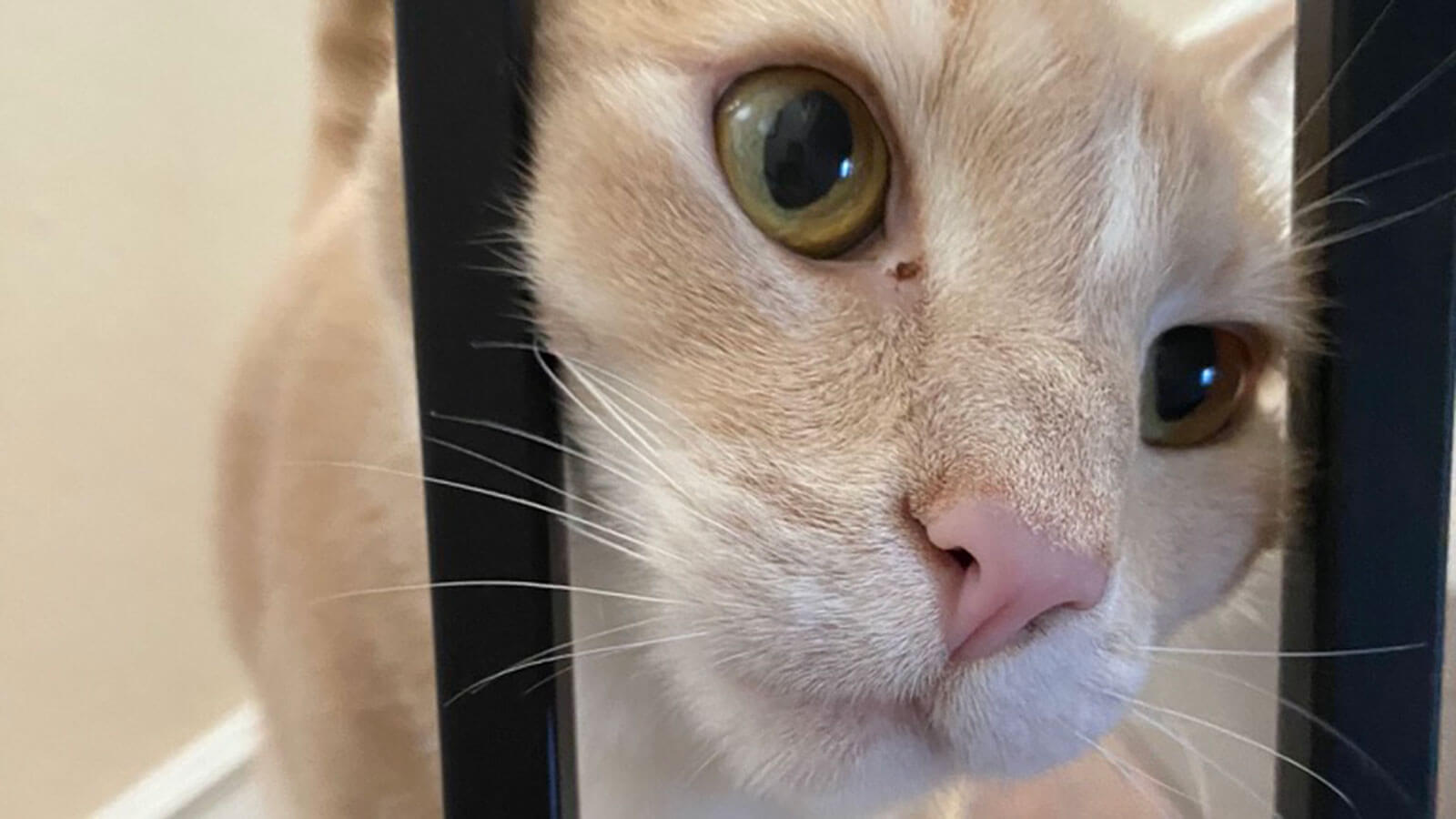 What’s Next? Getting Clear on What's Next For You