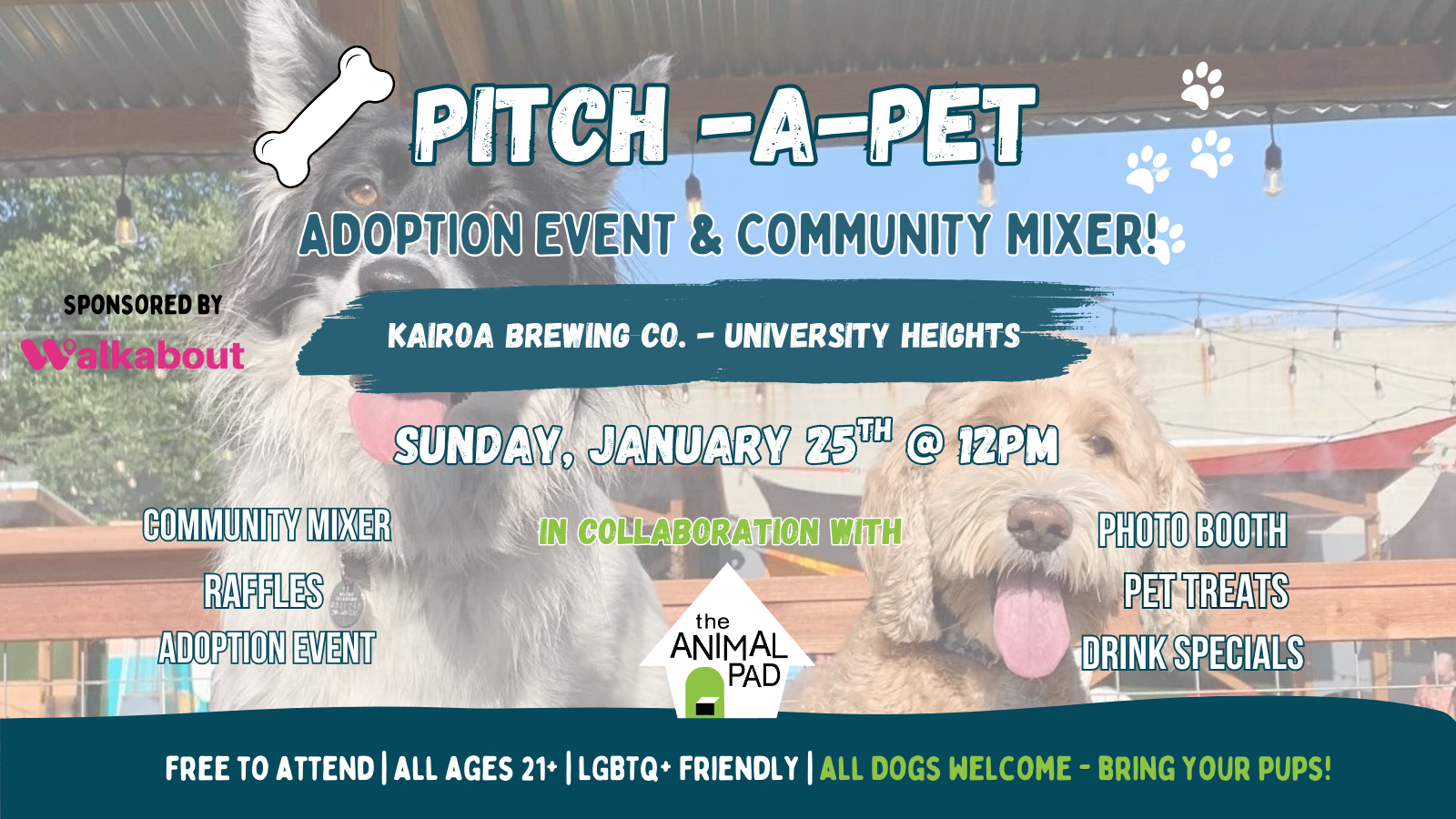 Pitch-A-PET @ Kairoa Brewing - City Heights