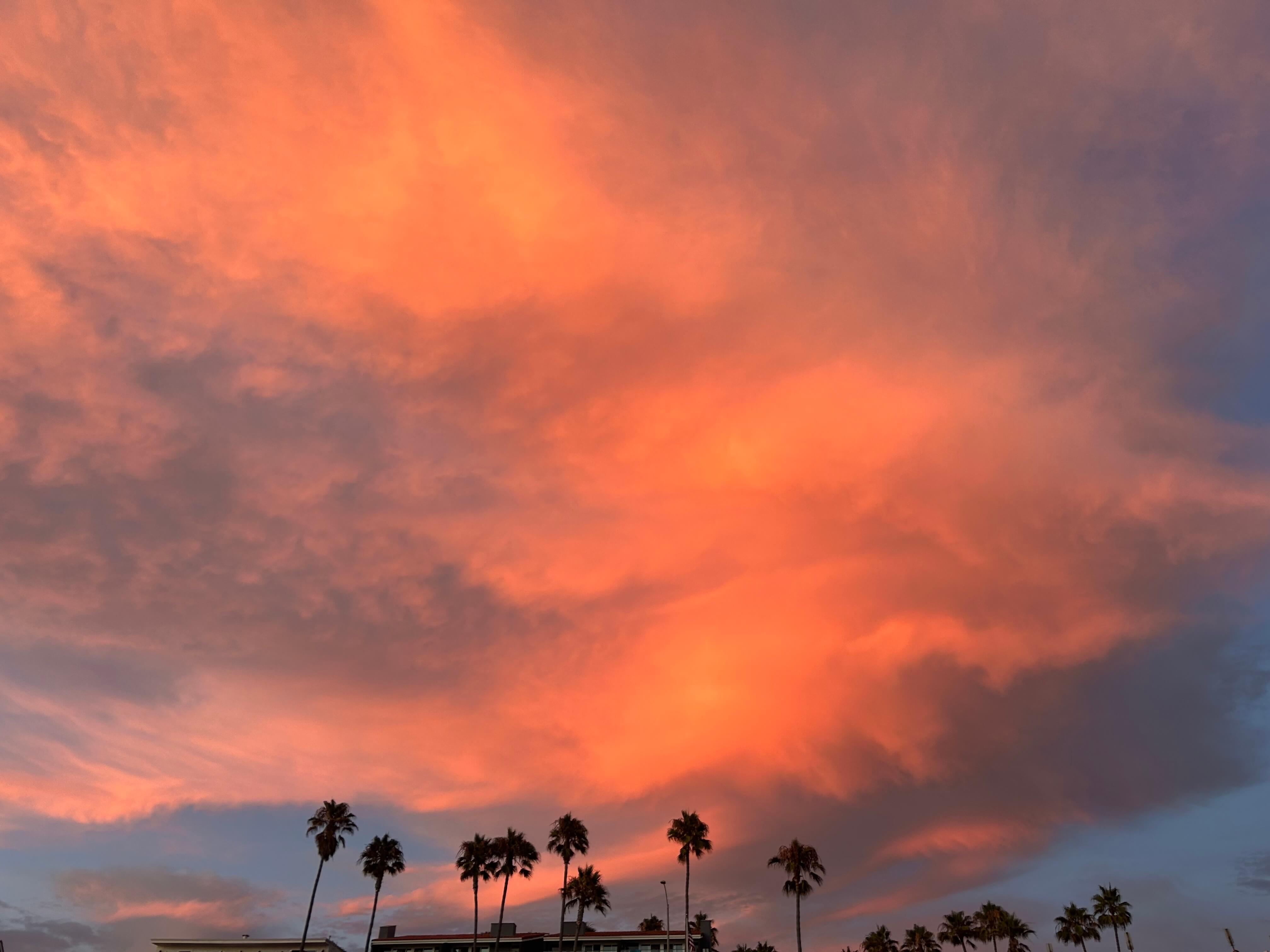 Walk & Connect: Evening Stroll for Startup-Curious Women