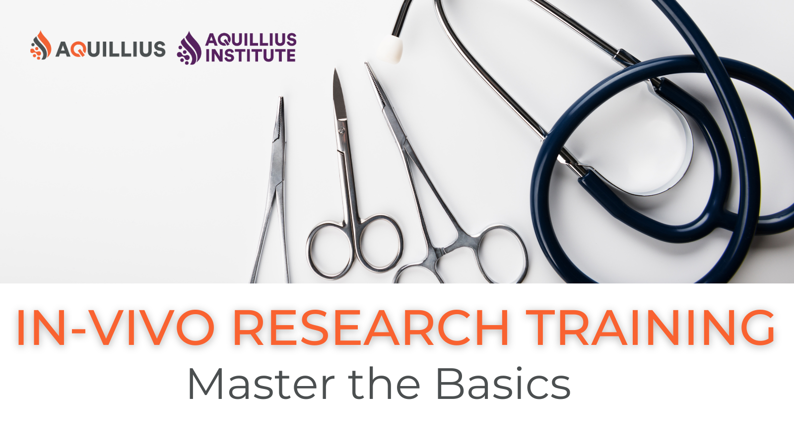 Basic In-Vivo Research Training