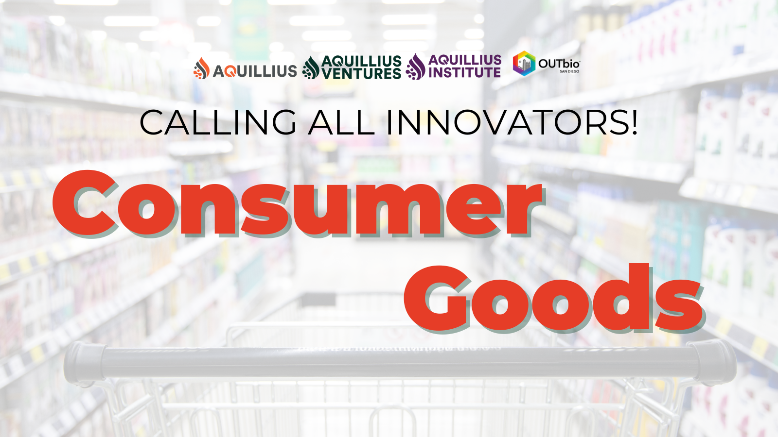 Consumer Goods 2026