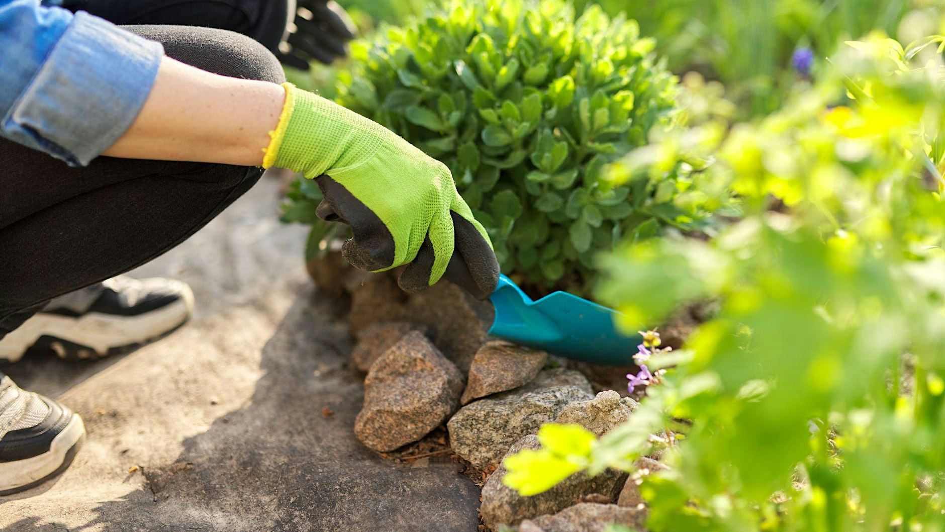 Workshop: Fire-Wise and Post-Fire Gardening (Alhambra)