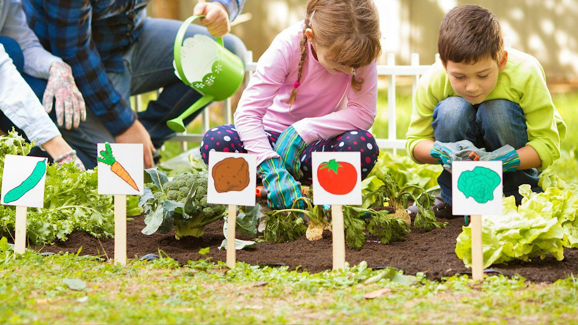 Workshop: Organic Gardening 101 (Diamond Bar)