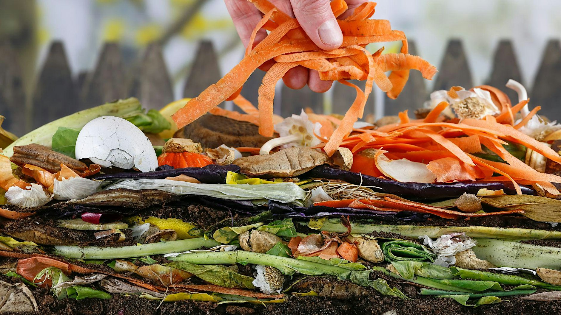 Workshop: Composting 101 (Bell)