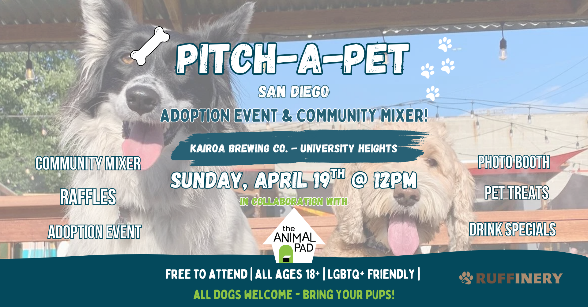 Pitch-A-PET @ Kairoa Brewing - City Heights