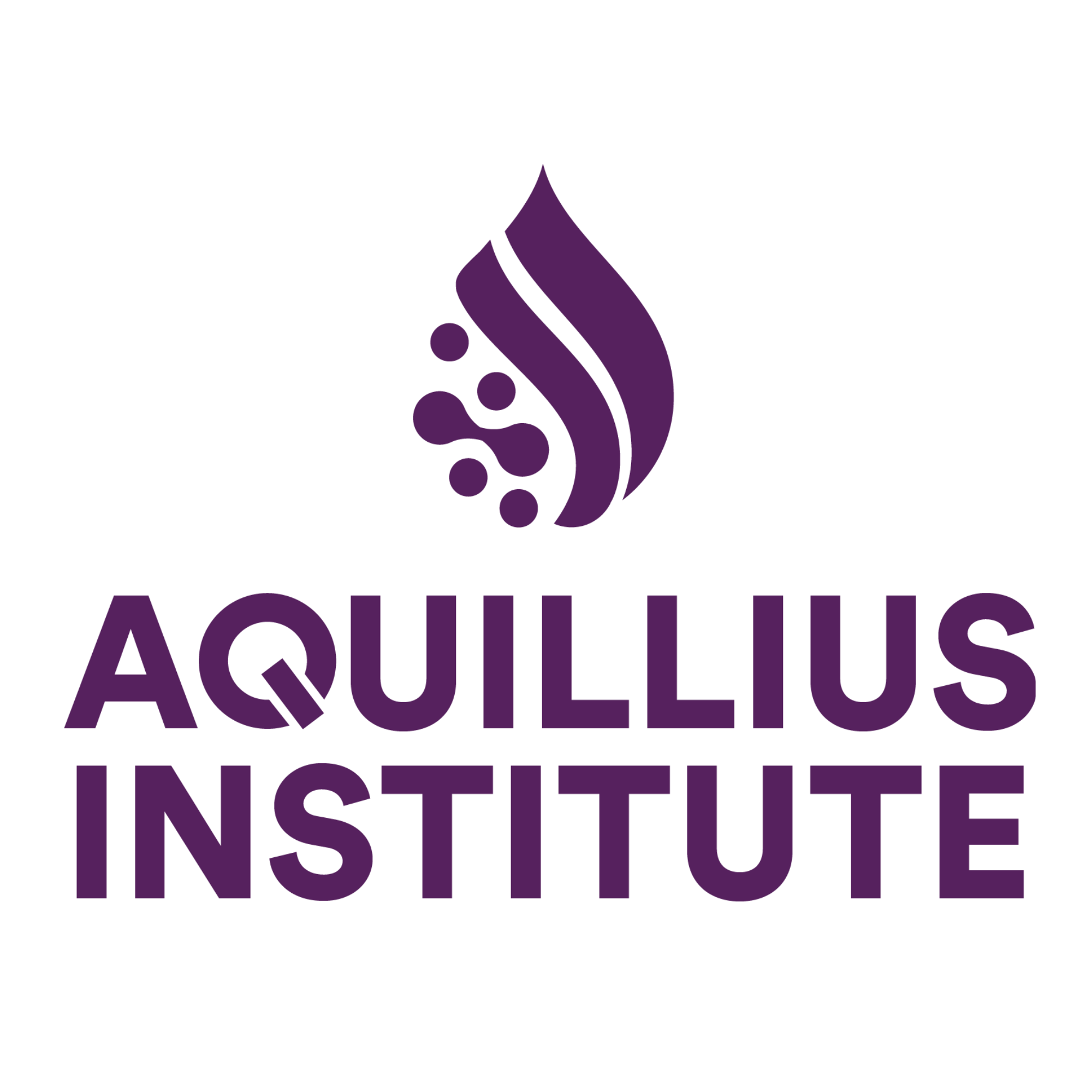 Aquillius Institute