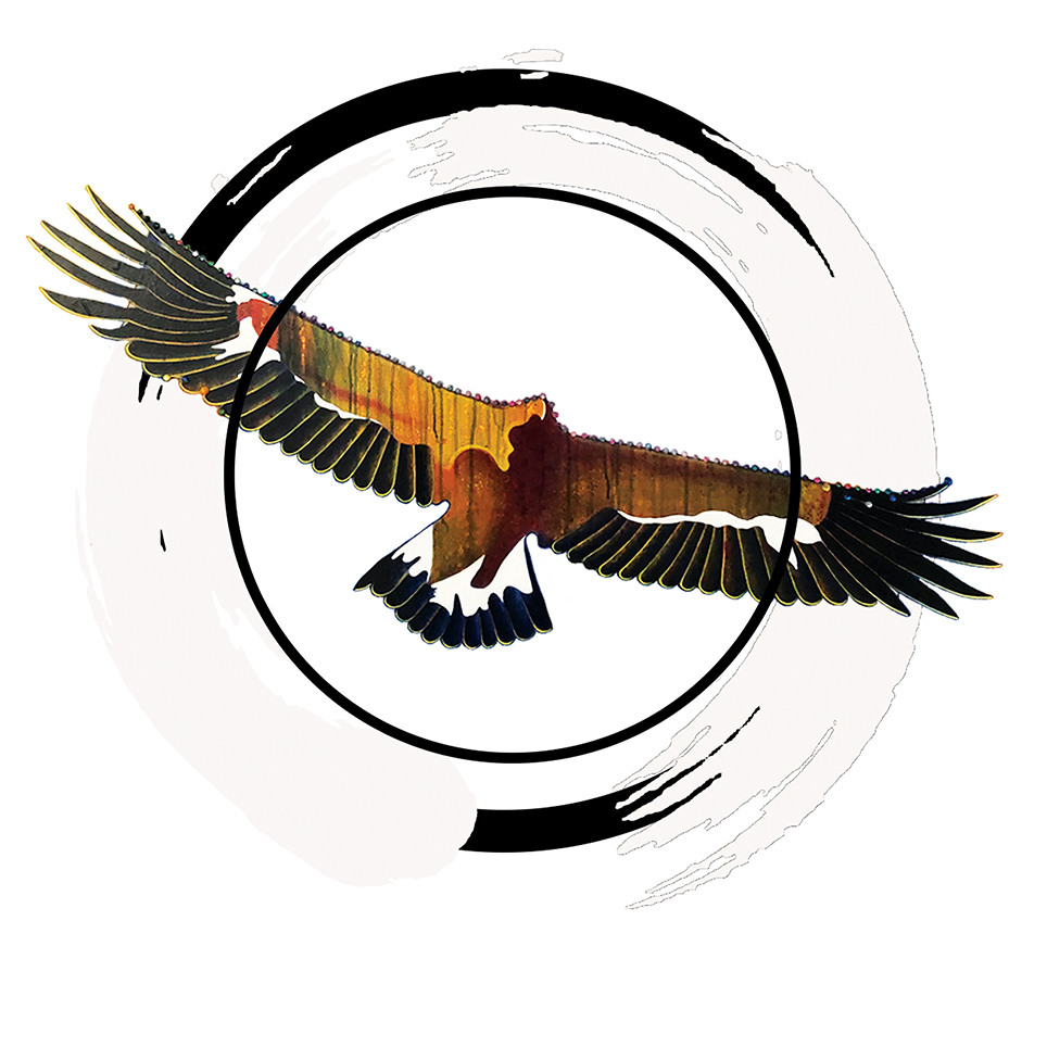 Rill Insights & Design