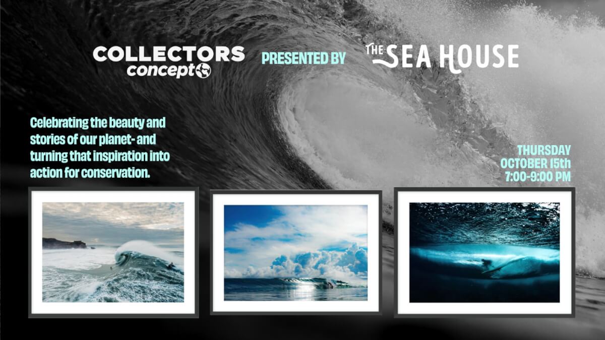 Collectors Concept Open Gallery Reception
