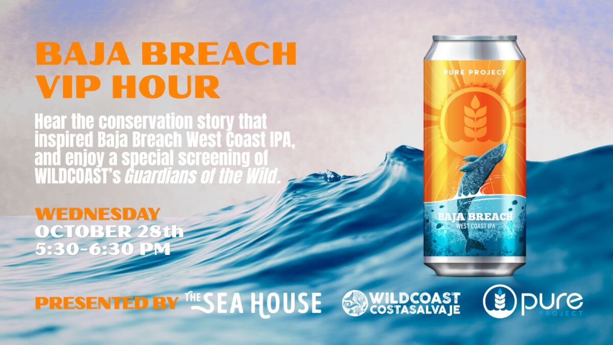 Baja Breach VIP Hour with WILDCOAST, Pure Project & Seatrees