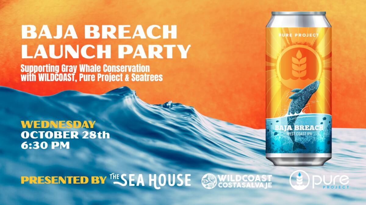 Baja Breach Launch Party with WILDCOAST, Pure Project, and Seatrees