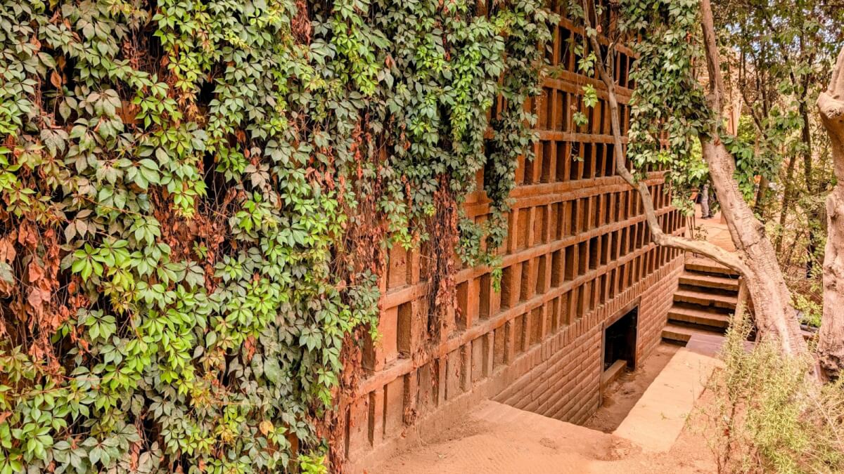 The Point of Travel: Day Trip to Valle de Guadalupe