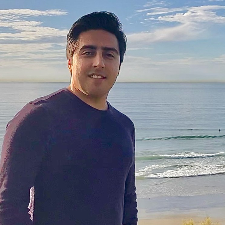 Shayan Sombolestani