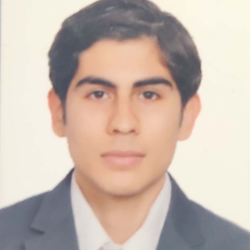 FERNANDO PULIDO MENDIVIL