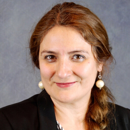 Parisa Abedinpour